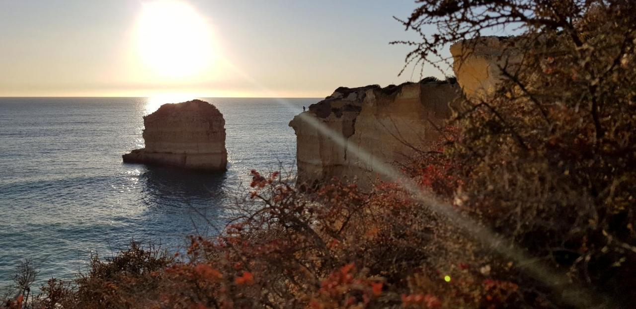 Albufeira Beach Cliffs House Extérieur photo